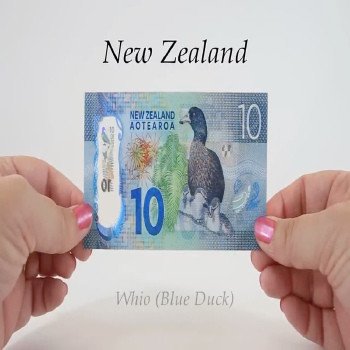 Buy Counterfeit NZD $10 Dollar Banknotes